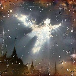 Meet your Posher, Lois